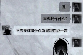 宁陵贷款清欠服务